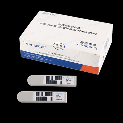 Creatine Kinase Isoenzyme / Myoglobin Rapid Test Kit Troponin Jantung I (cTnI/CK-MB/Myo)