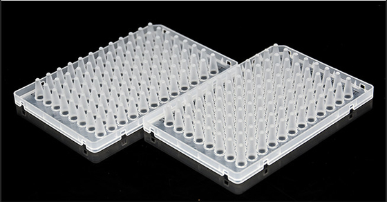 Disposable Clear ABI 96 Pelat PCR yang Dilapisi dengan Baik Polypropylene