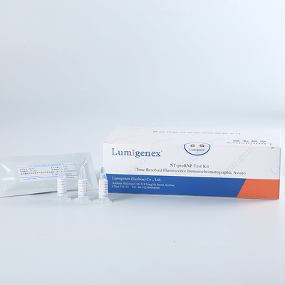 Antibodi Sensitivitas Tinggi Rapid NT-proBNP Test Kit 20 Tests/Box