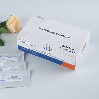 Antibodi Sensitivitas Tinggi Rapid NT-proBNP Test Kit 20 Tests/Box